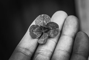 chia sẻ F8bet